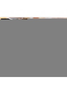 Mini Milk Bottle 155ml 2