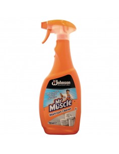 Mr Muscle GH493 Washroom Cleaner