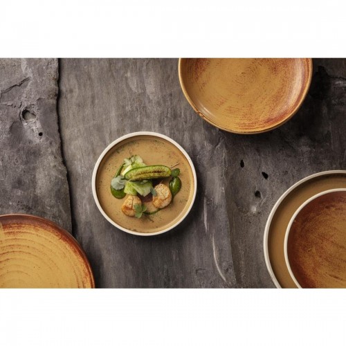 Olympia Canvas Shallow Tapered Bowl Sienna Rust 200mm