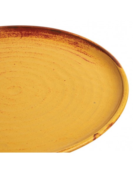 Olympia Canvas Small Rim Round Plate Sienna Rust 265mm