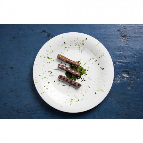 Royal Porcelain Maxadura Solario Plate 290mm