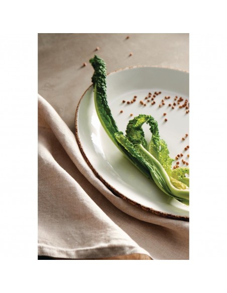 Steelite Brown Dapple Coupe Plates 153mm