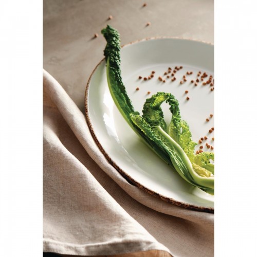 Steelite Brown Dapple Coupe Plates 203mm