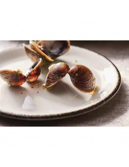 Steelite Charcoal Dapple Coupe Plates 152mm