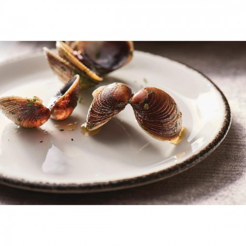 Steelite Charcoal Dapple Coupe Plates 202mm