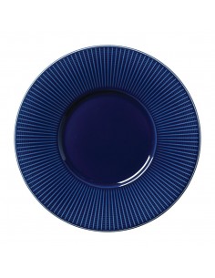 Steelite Willow Azure Gourmet Plates Medium Well Blue 285mm