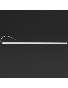 Polar LED Light