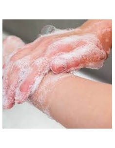 Gastro Hand Wash Station with paper & soap dispenser - 100% Hygiene Safety 2