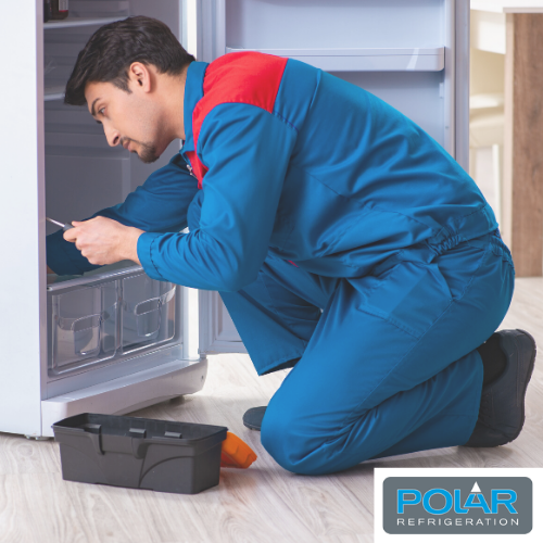 Polar 4th year additional warranty