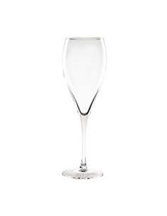 Olympia Cocktail Champagne Flutes 170ml (Pack of 12)
