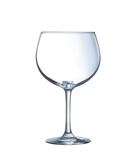 Arcoroc Juniper Gin Cocktail Glasses 24oz