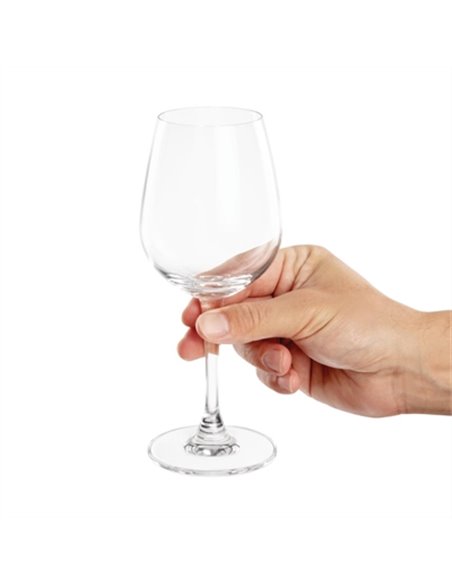 Olympia Mendoza Wine Glasses 315ml (Pack of 6)
