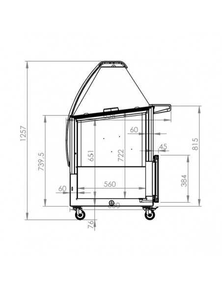 CRYSTAL VENUS-ELEGANTE-36 Venus Ice Cream Display 354L