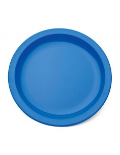 Plate Narrow Rim Blue 23cm Polycarbonate