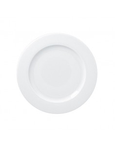 Access Flat Plate 24cm