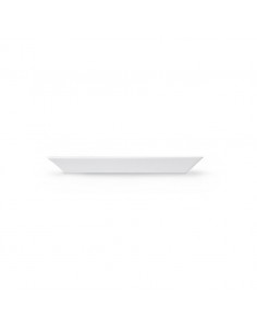 Exquisite Rectangular Plate 23cm 2