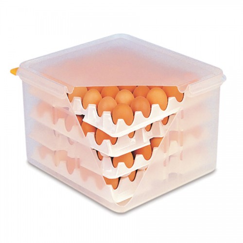 Egg Box with 8 Egg Trays 2/3 Gastronorm