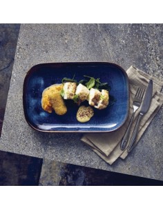 Terra Porcelain Aqua Rectangular Plate 24 X16.5cm
