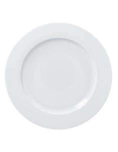 Access Flat Plate 31cm