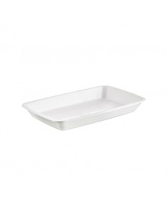 21Cm White Rectangular Plate Polycarbonate 2