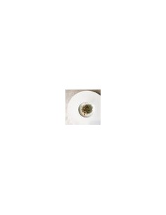 L Fragment White Wide Rim Shallow Bowl 30cm 2