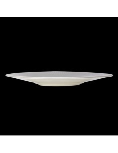 Willow Gourmet Plate Small Well 28.5cm (11 1/4inch) 2