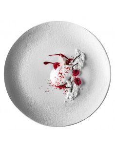 Artic Plate 30cm Matt White 2