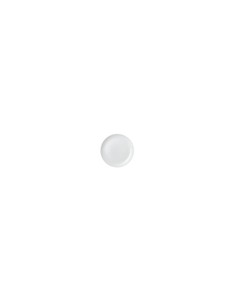 Vellum White Coupe Plate 21.7 Inches