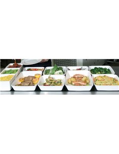 Counter-Serve Trays Stackable 2/4 Gastronorm