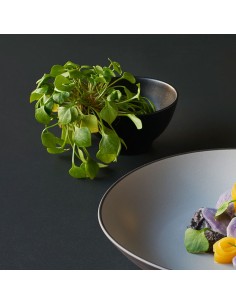 Equinoxe Rice Bowl Pepper 12cm 30cl 2