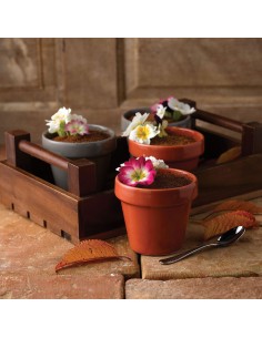 Bit On The Side Pebble Plant Pot 17oz 2