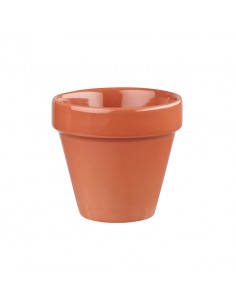 Bit On The Side Paprika Plant Pot 17oz