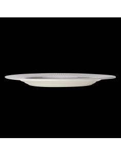 Willow Gourmet Plate Large Well 28.5cm (11 1/4inch)