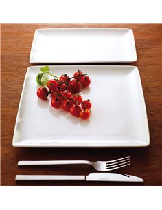 Taste Plate Rectangular White 16.75 x 27cm 2
