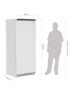Polar CD614 Single Door Upright Larder Fridge White 600Ltr C-Series 2