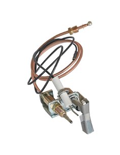 Buffalo Flame Device System