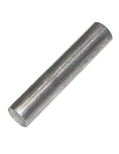 Polar Lower Door Shaft Pin