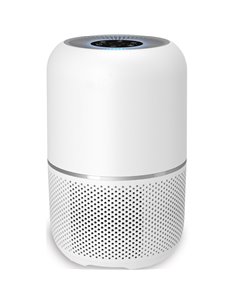 Smart Air Purifier with Prefilter + H13 HEPA Filter + Activated Carbon Filter | DA-VK6080A