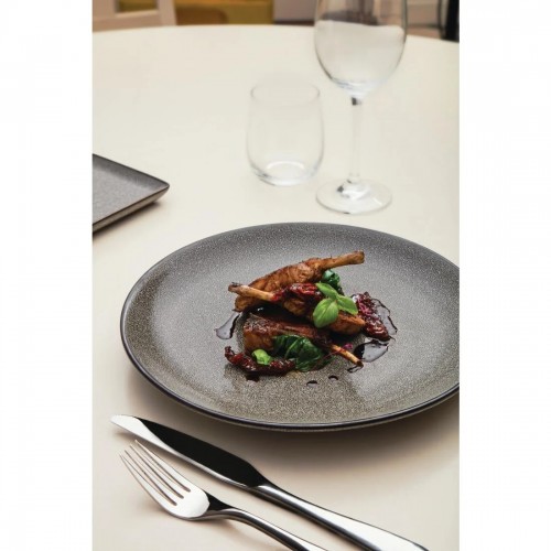 Olympia Mineral Coupe Plate 280mm