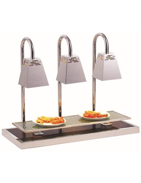 Dual lamp Carving station 600x450x770mm | A65103501