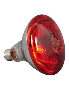 Commercial Suspension Food Warmer 2 heating lamps | DA-WLB550 2