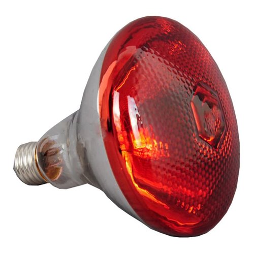 Commercial Suspension Food Warmer 3 heating lamps | DA-WLB750