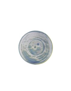Terra Porcelain Seafoam Saucer 14.5cm