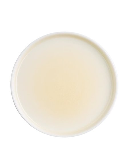 Olympia Fondant Plate Lemon - 152mm 6" (Box 6)