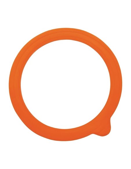 Olympia Spare Seals for CK939