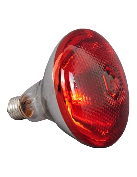 Commercial Suspension Food Warmer 4 heating lamps | DA-WLB1100