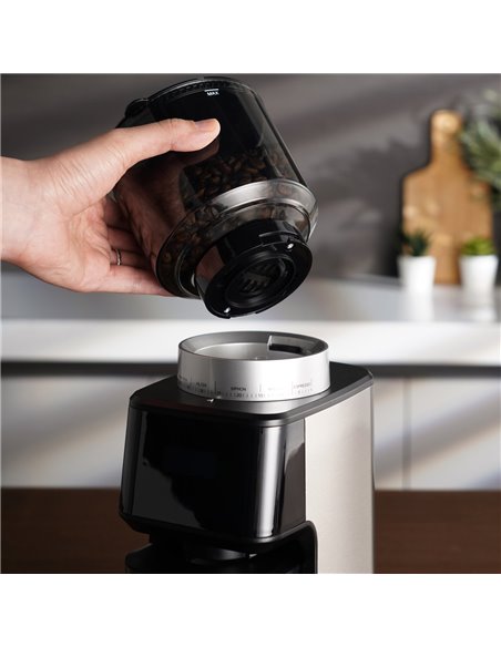 Commercial Coffee Grinder 1.5kg | Stalwart DA-BDCG018