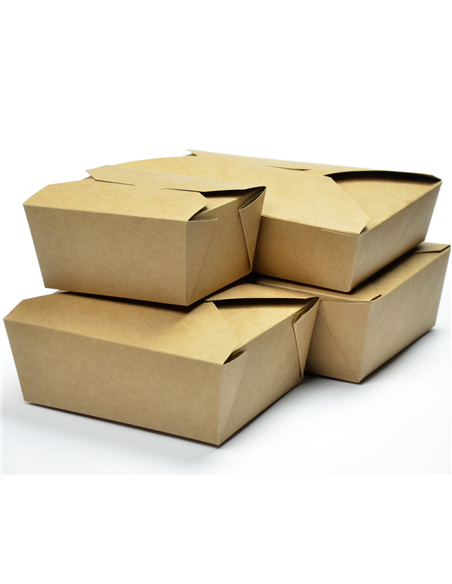 200pcs Disposable Takeaway Container 2927ml | DA-FC4