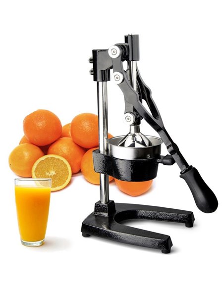 Commercial Manual Citrus Juicer | DA-HJA