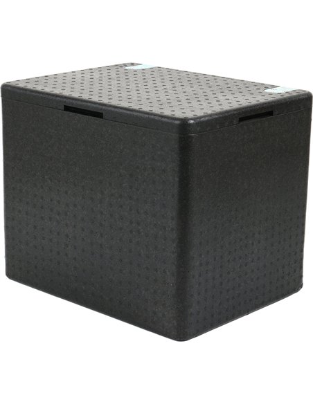 Top Loaded EPP Insulated Food Carrier / Thermo Box 30 Litre | Stalwart DA-EPP30